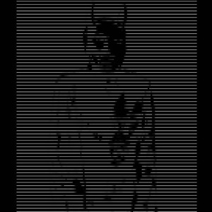 Atom Mrak -  Noir,sex,death