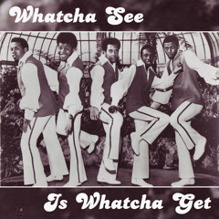The Dramatics - Whatcha See Whatcha Get FREE DOWNLOAD (Mike Timberlake's Extended Soul Train Rework)