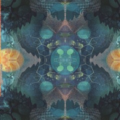 Sourone - Parasomnia [OUT ON MOMENTO DEMENTO COMPILATION)