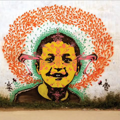 Nite Nine - La Revancha del Burro