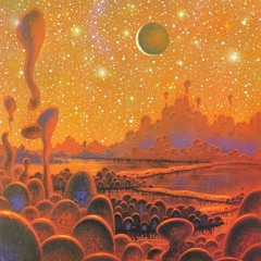Protocosmic
