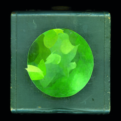 Circulatory System "Just In Time To See You All"