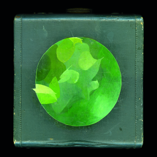 Circulatory System "Just In Time To See You All"