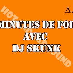 DJ SKUNK 30 Minutes De Folies