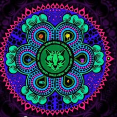 Montti - Are u ready panic