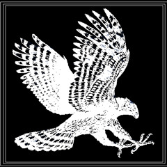 HAWK (Original Mix) -Iridium