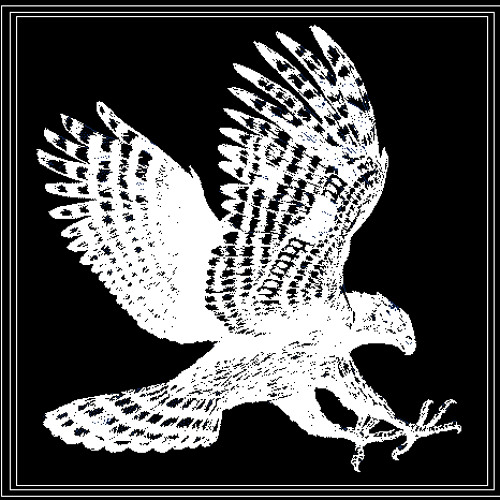 HAWK (Original Mix) -Iridium