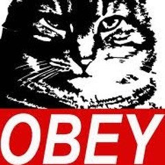 OBEY Demo