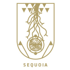 Sequoia
