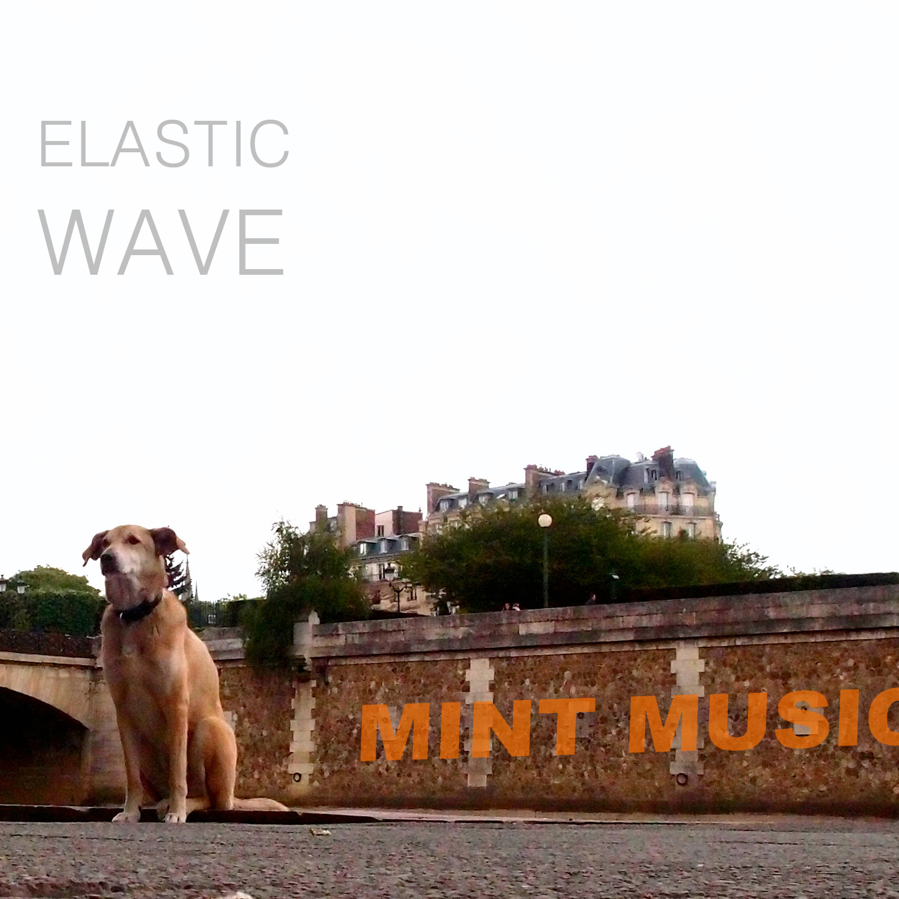 MINT MUSIC - Elastic Wave (2014) episode artwork
