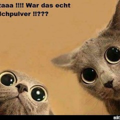 Danki - Verschoben *cut*