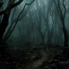 Foret Noire (FINAL)