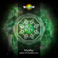 Try2Fly - Gaia
