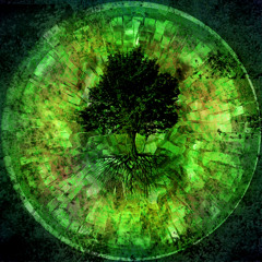 SIKO ∆ VIBRATION OF NATURE (432Hz)
