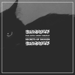 @Paul Gate & @∆NGRY ΠABLEFLIP - Secrets of Skogen