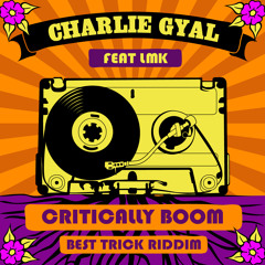 LMK - Critically Boom - Charlie 's dubplate