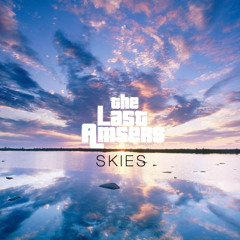 The Last Amsers - Skies (Spinnin' Records Submission)