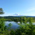 Artwork for Trout Lake Birds In June