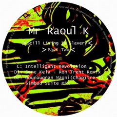 MR RAOUL K Intelligent Revoltion