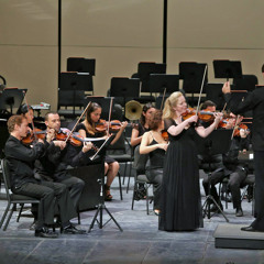 Beethoven Violin Concerto: II. Larghetto