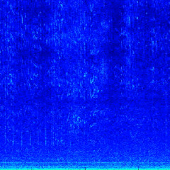 Dolphin Chatter