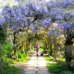 Chop And Change-The Black Keys (ft Joel Goldberg & Nathan Williams)