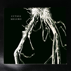 Cutaia & Melero - Un mundo en llamas