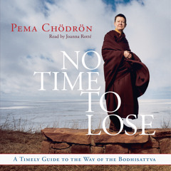 No Time to Lose: A Timely Guide to the Way of the Bodhisattva with Pema Chodron-Preview 2