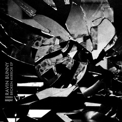Ravin Bunny - Broken Mirror (Snippet)[NTR002 // Noise Techno Records]