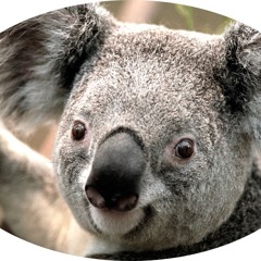 Baitaca - Do Fundo Da Grota - 05. Peão Sem Sorte