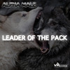 alpha-male-leader-of-the-pack-silences-enemy-remix-now-on-beatport-4allrecords-silences-enemy