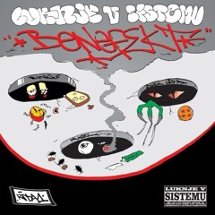 Luknje V Sistemu feat. Burke Katich & Drill - Postreženo Surovo