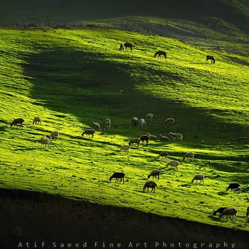 WAQAR ATAL RABAB  ZAROR YE WOWORAI