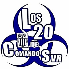 24.- Esta es tu hinchada - Comando Svr