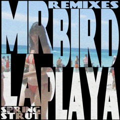 Mr. Bird - La Playa Remixes