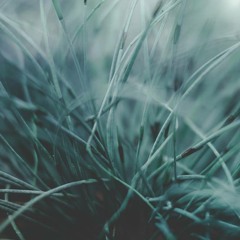 ความทรงจำ || into the air