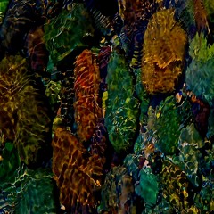 LUCAS O'CONNELL - The Wake from Illusion