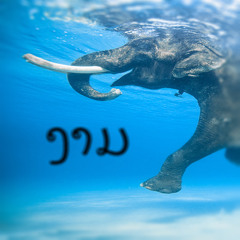 Someone Out Of Town (Remix) [Prod. Rooftop Jay]