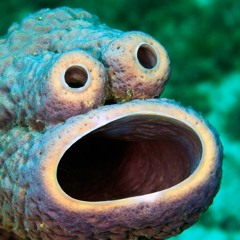 HANNAH montana oooohhhhh