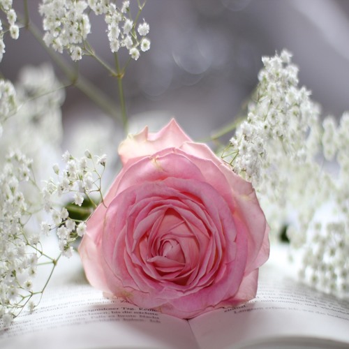 أحبك كثر ماقد صار