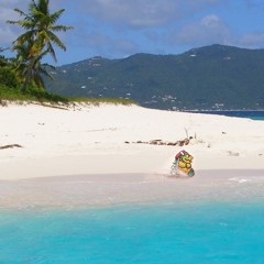 koopa troopa beach