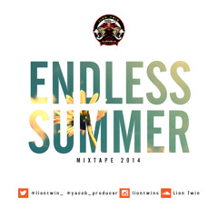 Endless Summer Mixtape 2014