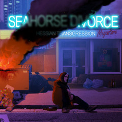 Seahorse Divorce- hessian transgression