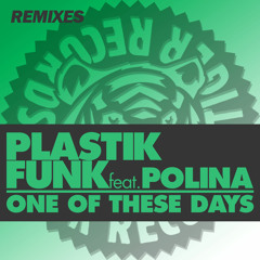 Plastik Funk feat. Polina - One Of These Days (Funk D Remix)