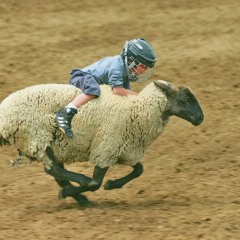 Crispy Rodeo (Essayez Project) aka T-NASH n Wooey