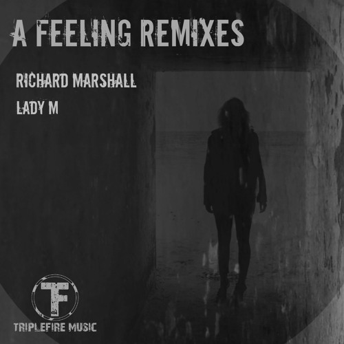 TFMD040 - Lady M - A Feeling (Lady M Remix)