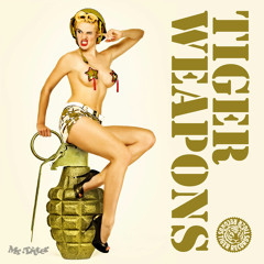 Sunshine Live Radio Tiger Weapons (#124 - 09.06.2014)