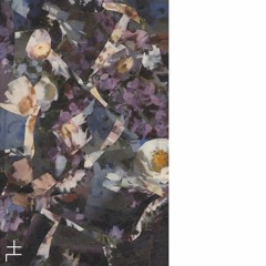 Robin Carnage- Odes EP  [Free Download]