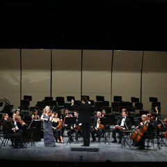 Beethoven Violin Concerto: III. Rondo Allegro