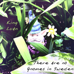 There Are No Gnomes In Sweden